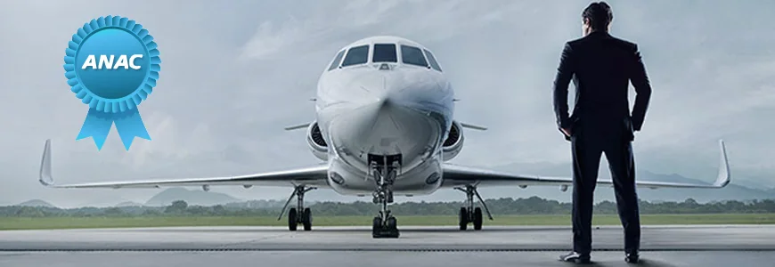 Espaço aéreo RVSM
